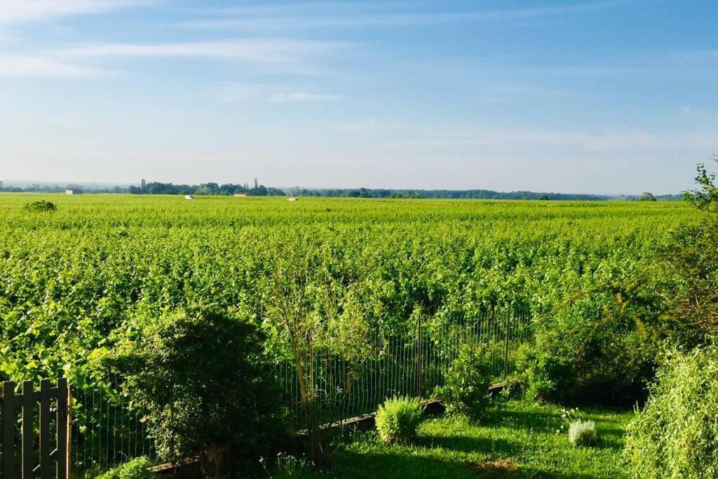 Apartment Avec Vue Sur Les Vignes A
